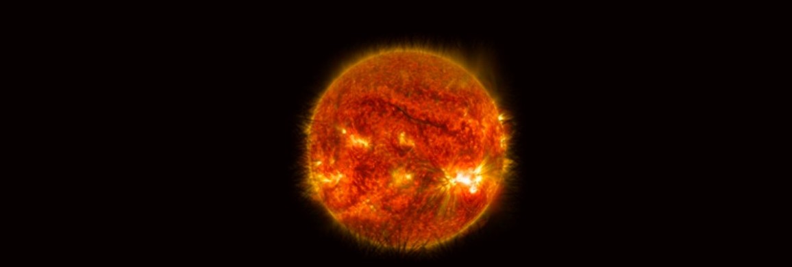 A closeup of the sun against a dark sky showing solar flares, and a silhouette of long grass at the bottom.