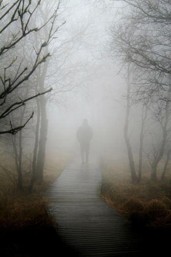 A figure walks away from the camera into the fog on a wooden path through trees
